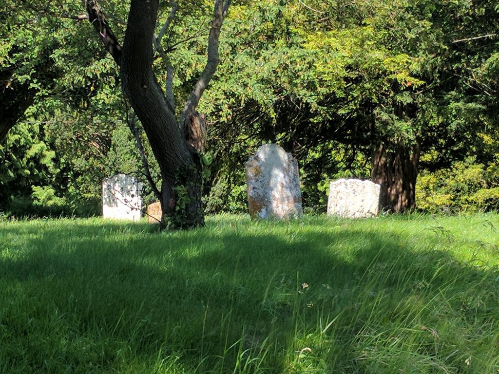 Graveyards in a grassy swathe with tree