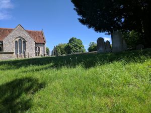 Cemetery soil health is a mystery