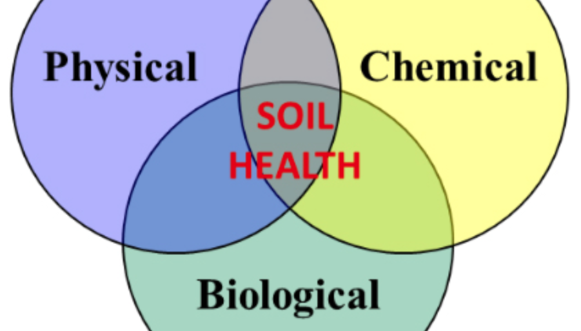 Soil consists of physical, biological and chemical aspects