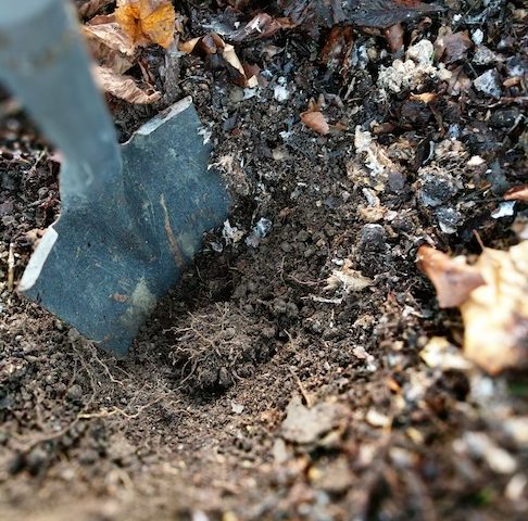I still find a small spade or trowel is one of the most useful tools for collecting soil, especially when trying to sample in unfamiliar territory.